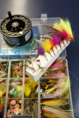 0106 Saltwater Flies 2013 400 0106 Saltwater Flies 2013 400